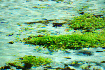 Riserva naturale sorgenti del Pescara, Popoli Terme
