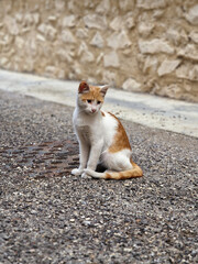 Corfinio, L'Aquila,, Abruzzo