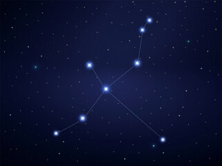 Cygnis constellation in night sky