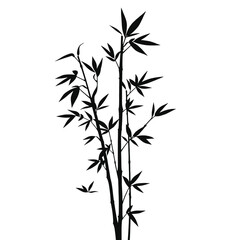 Fototapeta premium Bamboo Plant Vector Art