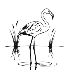 A black and white line drawing of a flamingo standing