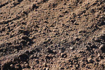 A close-up of fertile arable land. Black soil. Texture.	