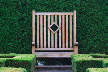 Old rustic wooden bench with green hedge in the background.