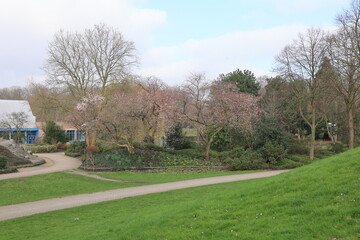 Blick in die Altstadt von Wesel in Nordrhein-Westfalen