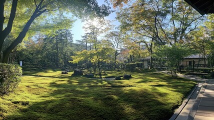 Obraz premium Lush Moss Garden Scene in Delightful Light