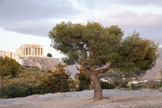 Veduta dell'Acropoli, Atene