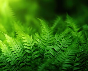 Obraz premium Vibrant green fern leaves on a soft blurred background.