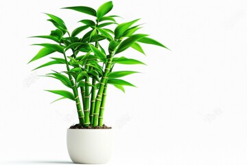 Stylized 3D Bamboo Shoot Illustration in a Pot