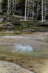 Geysers with hot water spew steam in Yellowstone National Park