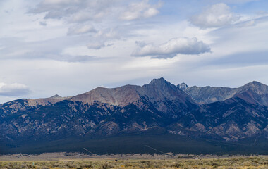 Yellow Prairie from Desert Plants, Great Sand Dunes National Park with mountains in the background, Colorado