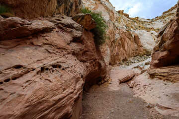 Eroded by water and wind cliffs in the canyon Little Wild Horse Canyon. San Rafael Swell, Utah