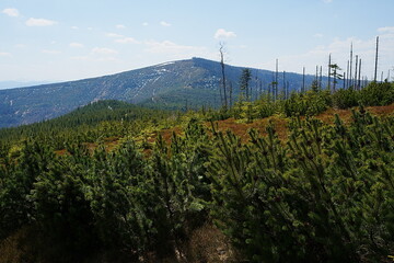 Peak of Barania Gora mount, 1,220 metres at Silesian Beskids near Szczyrk in Poland