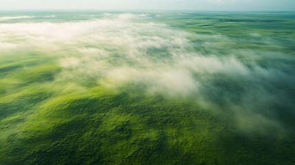 Obraz premium Aerial View of Rolling Hills Covered in Mist