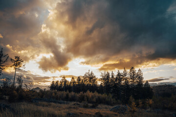 The sun is brightly shining through the fluffy clouds over the tall trees