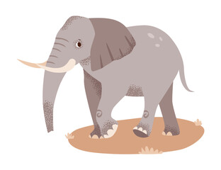 Majestic, tusked elephant. Wild jungle animal. Flat vector savannah character isolated on white background