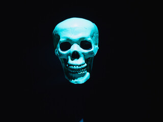 Scary human skull on black