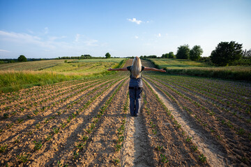 A Person Walking Through a Lush Field During a Beautiful Sunset with Scenic Background