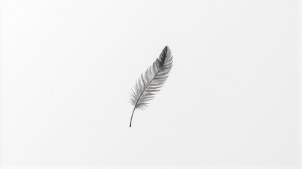 feather isolated on white background