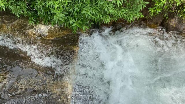 Close up view of river currents or water ripples. Clear fresh water flowing on the small ditch with green leaves plants, rocks and nature surrounding