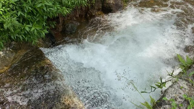 Close up view of river currents or water ripples. Clear fresh water flowing on the small ditch with green leaves plants, rocks and nature surrounding