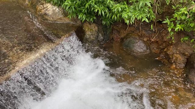 Close up view of river currents or water ripples. Clear fresh water flowing on the small ditch with green leaves plants, rocks and nature surrounding