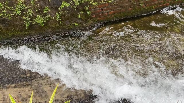 Close up view of river currents or water ripples. Clear fresh water flowing on the small ditch with green leaves plants, rocks and nature surrounding