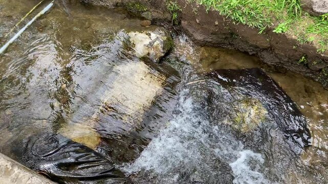 Close up view of river currents or water ripples. Clear fresh water flowing on the small ditch with green leaves plants, rocks and nature surrounding