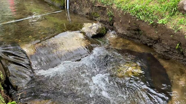 Close up view of river currents or water ripples. Clear fresh water flowing on the small ditch with green leaves plants, rocks and nature surrounding