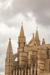 mallorcan cathedral
