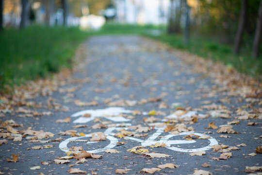 Bicycle Path Covered with Autumn Leaves