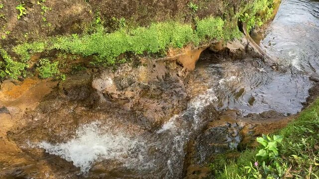Close up view of river currents or water ripples. Clear fresh water flowing on the small ditch with green leaves plants, rocks and nature surrounding