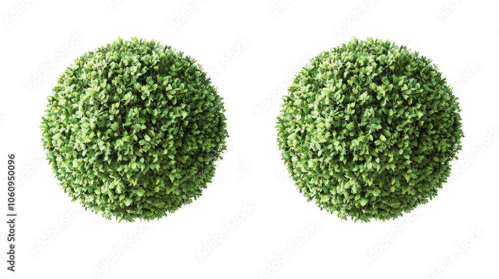 Poster set of green bushes isolated on a transparent background generative ai