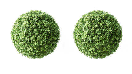 Set of Green Bushes Isolated on a Transparent Background Generative AI