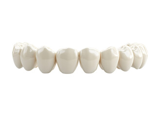 Human teeth model 3d image