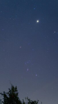 Time lapse of Orion constellation with stars Betelgeuse and Riger and Orion nebula, bright Jupiter in starry sky, November 2024