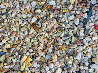 Close-up of various small stones and gravel with colorful fragments, creating a natural textured background.