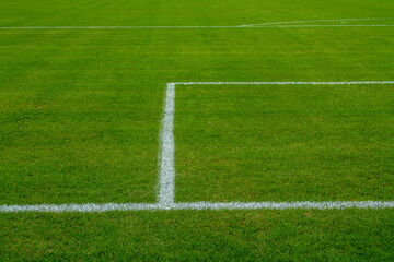 Obraz premium WM EM Fussball