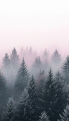 Fototapeta premium Soft gradient moving from gray to pink with a light grainy texture, creating a gentle atmosphere