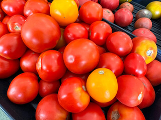 Ripe organic tomatoes