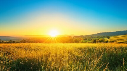 Sunset Over Rolling Hills and Golden Grass