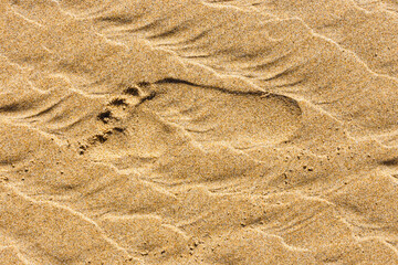 human footprints in the sand beach