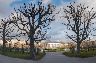 the Vienna Volksgarten with gnarled trees and wrapped rose bushes in winter