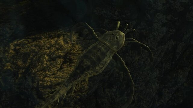 Animation of the extinct Eurypterid Hallipterus excelsior. Hallipterus lived 383 to 376 million years ago. They are often referred to as "Sea Scorpions".