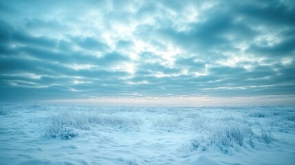 A snowy field under a cloudy sky, with soft light creating a cool and serene atmosphere, perfect for winter contemplation.