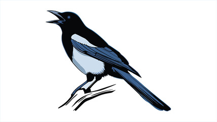 Elegant Magpie Illustration on a Simple Branch 