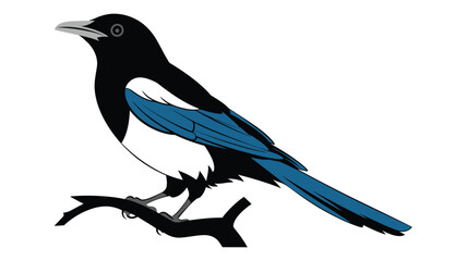 Elegant Magpie Illustration on a Simple Branch 