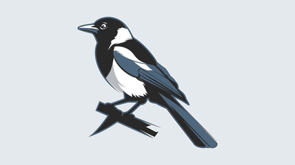 Elegant Magpie Illustration on a Simple Branch 