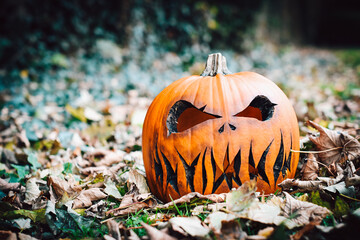Halloween Pumpkin face