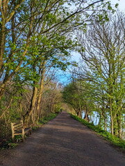 London - 03.28.2024: Two people strolling on the Thames Path along the River Thames with trees on both sides and a bench facing the river under a blue sky, sunlight coming through the tree canopy