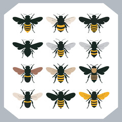 Bee simple logotype icon, Bee silhouette set collection, hand drawn Bee on white background